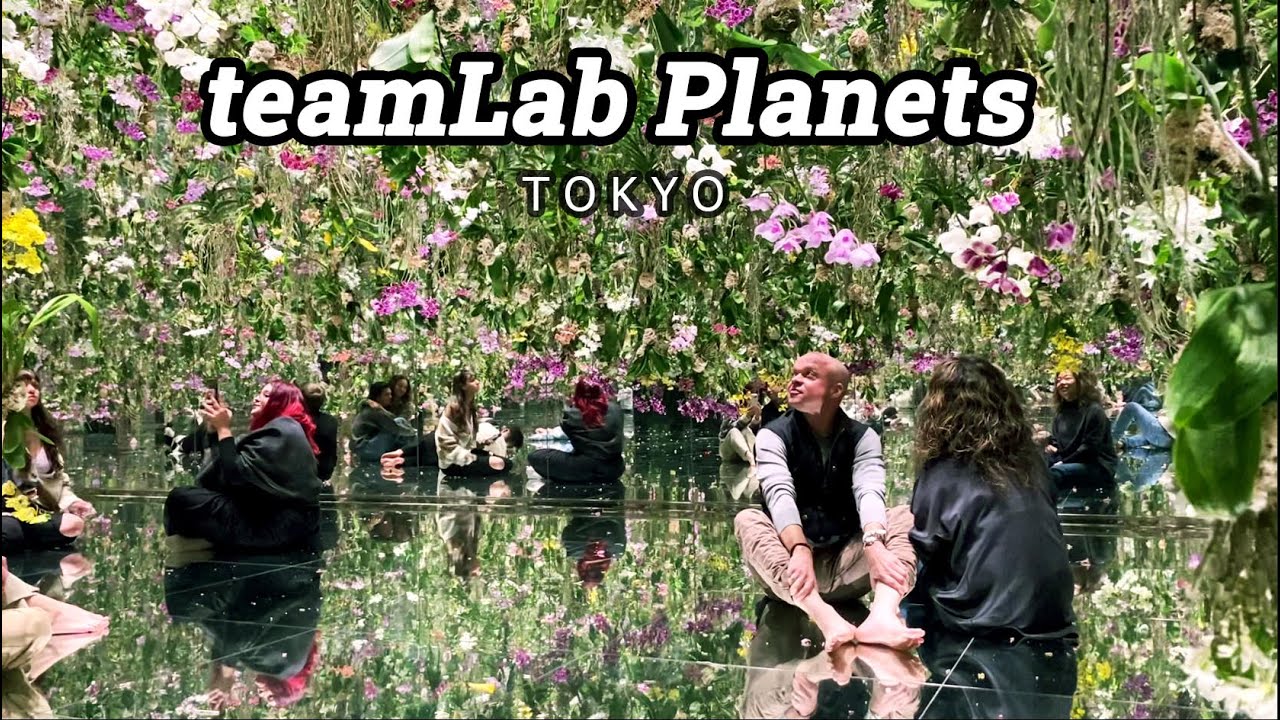 TeamLab Planets Tokyo | RAMEN EATING SHOW