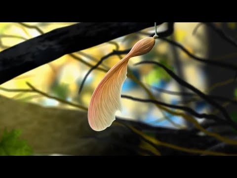 DTS Auro 3D Sound Test  - Dolby Atmos