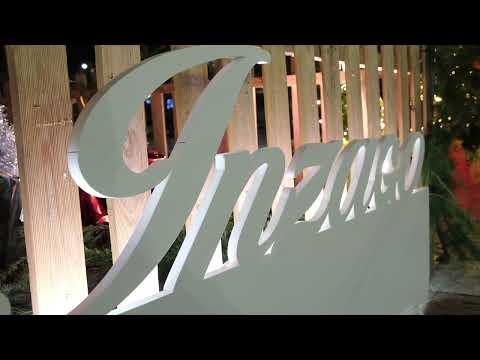 PRO LOCO INZAGO - SPOT UN ALBERO INSIEME 2020