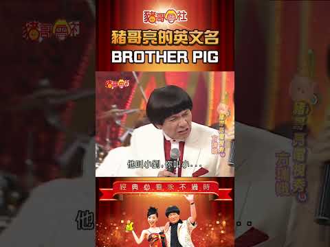 豬哥亮的英文名😝BROTHER PIG！《豬哥會社》