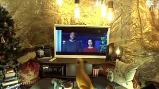 John Lewis Christmas Ad Window display at Oxford Circus