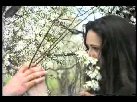 Goce Aleksov  - ( Ludo Srce )