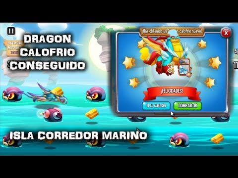 DRAGON CALOFRIO CONSEGUIDO | ISLA CARRERA[Dragon City]