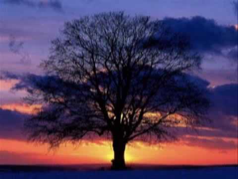 Sezen Aksu - Sürgün