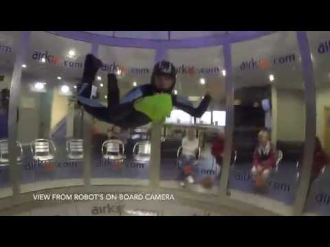 Autonomous Free Fall Skydiving Robot