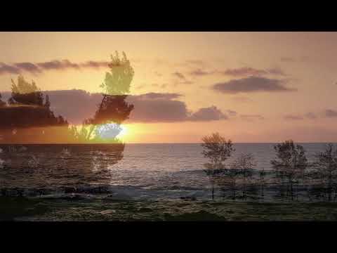 A dor - Khalil Gibran