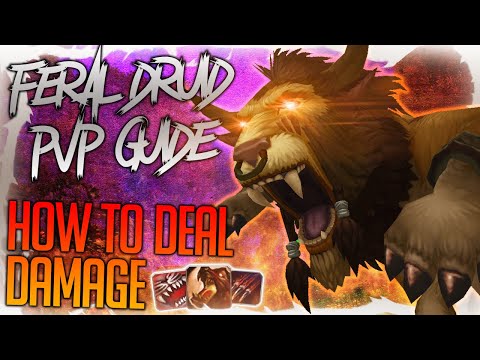 How to Deal Damage as a Feral Druid in PvP - World of Warcraft: Shadowlands 9.0 Guide