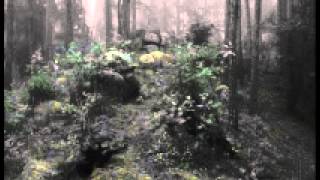 Primordial - Gallows Hymn [HelheimPaganArt Channel]