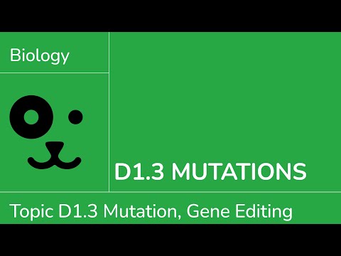 D1.3 Mutations [IB Biology SL/HL]