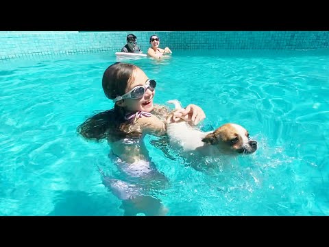 PRIMEIRA VEZ na PISCINA do nosso CACHORRO