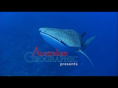 Christmas Island - Part 1: An introduction to this unique natural environment