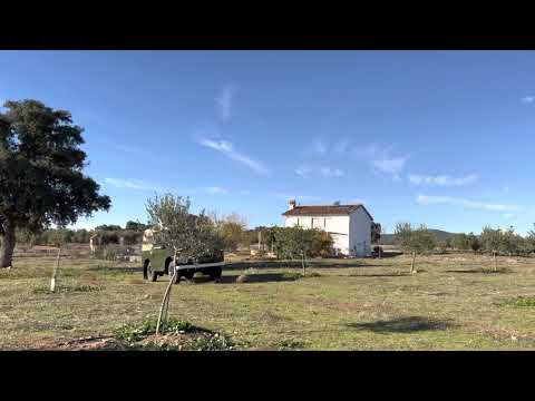 1963 Land Rover Series IIA (CC-1491747) for sale in Santisteban Del Puerto, Jaén
