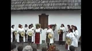 preview picture of video 'Folklore group from Coşbuc (Năsăud) - 1991'