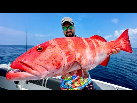 We Caught and Ate the Most Delicious Fish in the Oceans!! / Maldives Adventure