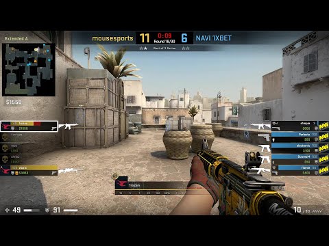 07.04.2020 (POV) frozen - mousesports vs NaVi - ESL Pro League Season 11 Europe