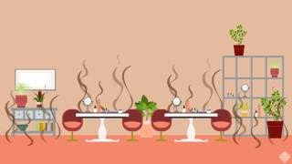 Reducing Indoor Air Pollution With Houseplants - Headline Science