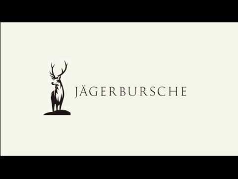 Pirsch auf Sauen im Feld bei Vollmond