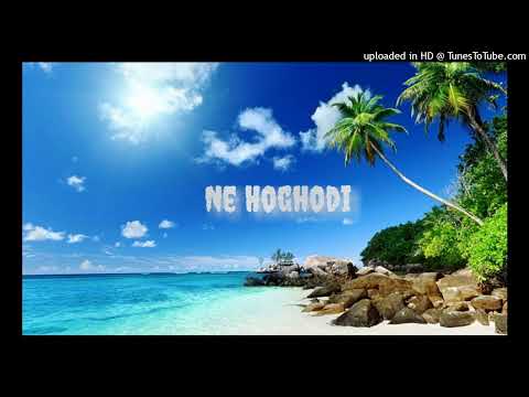 Ne Hoghodi remix (Dj GEC) Isavibz - flagiStyle (2k23)