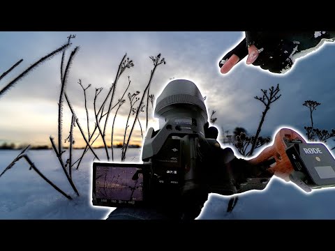 FOTO to GO 13📸 Weitwinkel Makro fotografieren und in Lightroom / Photoshop bearbeiten