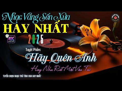 Nhạc TÌNH CA BOLERO Trữ Tình HAY NHẤT, ĐỘC LẠ 2025 - Nhạc Vàng Sến Xưa Chọn Lọc CỰC ÊM TAI DỄ NGHE