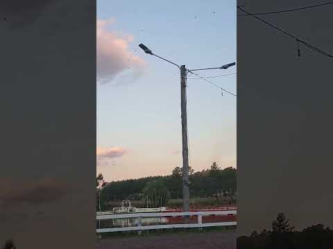 Parque Sur Dos de Mayo Misiones