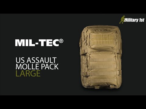 Mil-Tec MOLLE US Assault Pack Large