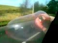 CONDOM INFLATES OUT OF CAR WINDOW