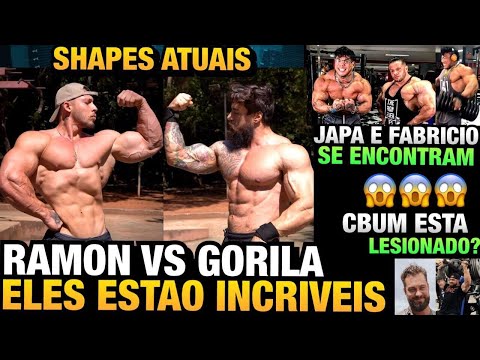 RAMON VS GORILA SHAPES ATUAIS IMPRESSIONAM - CBUM COM LESÃO NO OMBRO - JAPA E FABRICIO SE ENCONTRAM