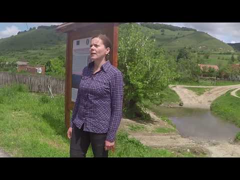 Film ROSCI0312 Castanii comestibili de la Buia