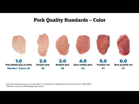 Insights from the National Retail Benchmarking Study
