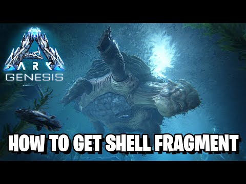 Ark Shell Fragment