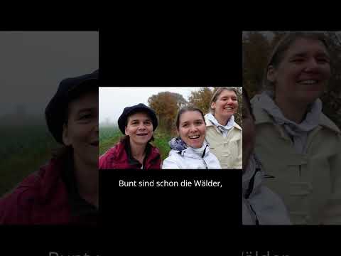 Ein buntes Lied auf nebeligen Feldern #natur #folksong #harmony #singing