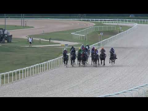 2019.08.25. 04. futam - NYERETLENEK VERSENYE (V.kat.) (szintetikus pálya)