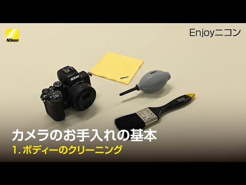 スイミングプールの囲いをメンテナンスおよび掃除するにはどうすればよいですか?あらゆるタイプと素材に関するプロのヒント  庭園