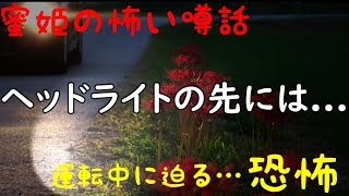 蜜姫の怖い噂話【ヘッドライトの先には...】#よこしまデイズ#怖い話