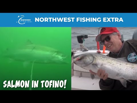September Ocean Trolling for Chinook Salmon in Tofino, BC! - Extended Cut