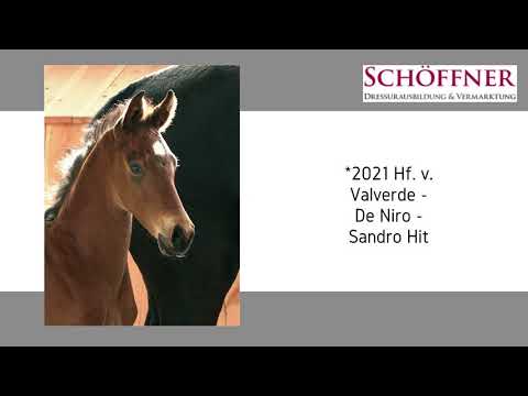 Hf v Valverde   De Niro   Sandro Hit 2021