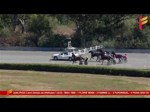 I Prova di Qualifica del 9 Settembre 2023 - 2 Anni - Metri 1600