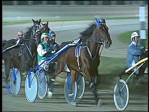 Trotto 06/12/2016 - 8ª corsa