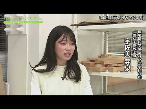わたしはシンカする。 環境情報学部 デザイン学科
