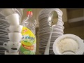 Sunlight Dish Washing Lemon 100
