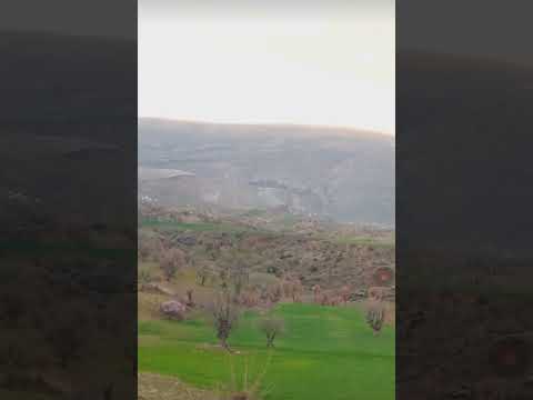 Mahmut Çınar Mahmade mı