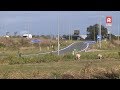 Nieuw papier van gemaaid bermgras langs N11