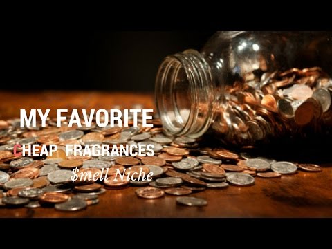 Available on Patreon https://www.patreon.com/kevinrsamuels $melling NICHE For CHEAP! ©