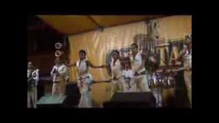 GRUPO ORIGINAL - VOY A OLVIDARTE - MI DOLOR 2014