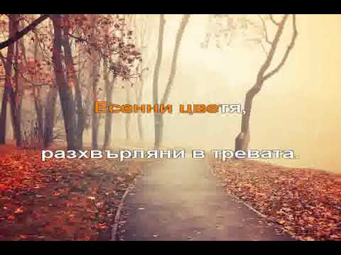 В ЧАСА ПО МУЗИКА - Есенни цветя - музика и текст П. Писарски