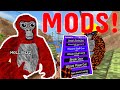 I Used Mods To TROLL A Gorilla Tag Youtuber Gorilla Tag