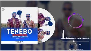 Download lagu PAPAA MASAI FT LEMARTI MUSIC - TENEBO ( MUSIC AUDIO) mp3