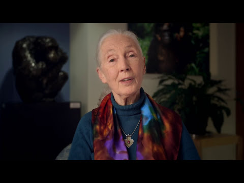 Making a Difference with Dr. Jane Goodall.