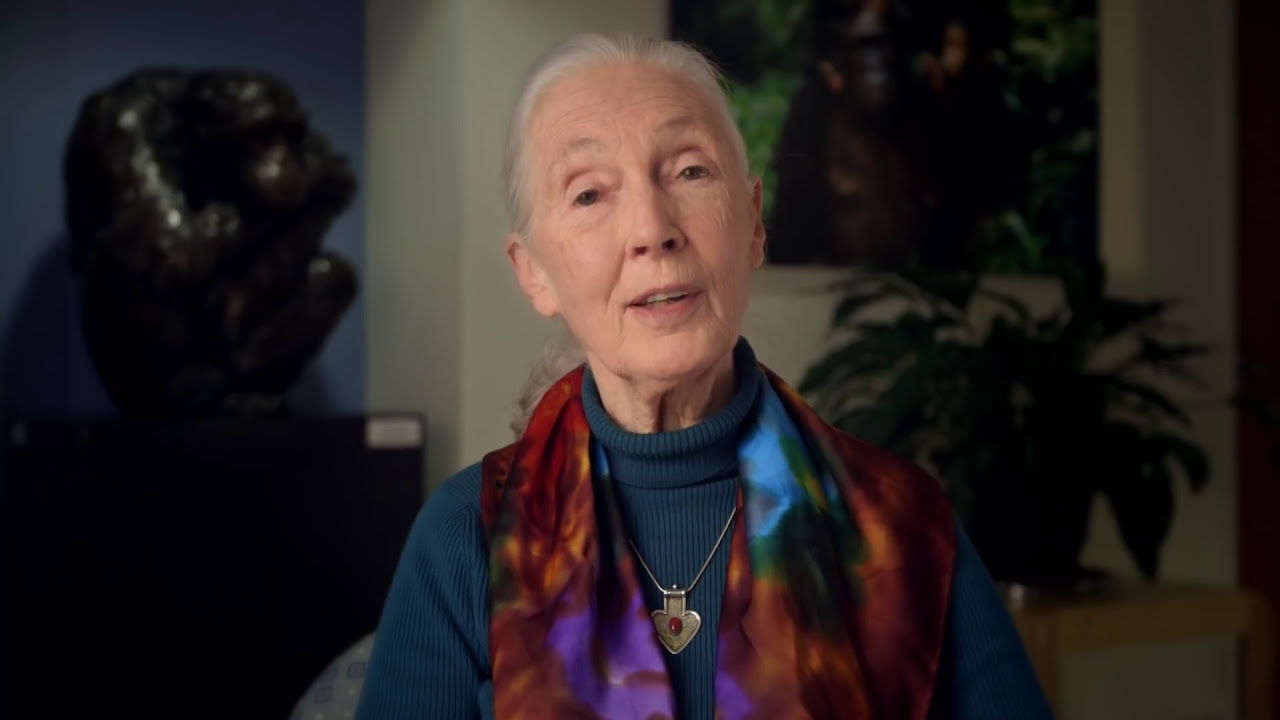 Make a Difference with the Jane Goodall Institute